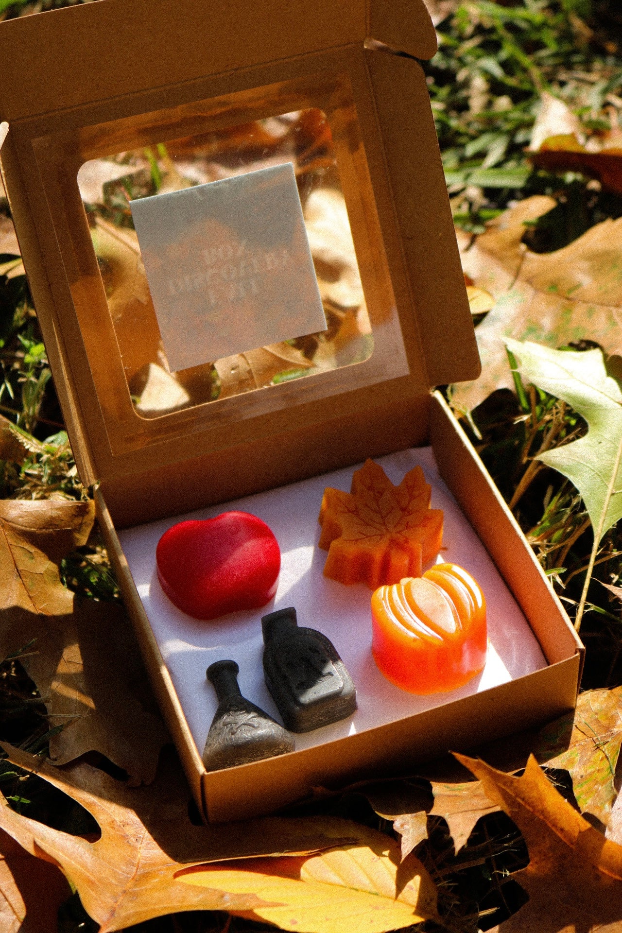 Fall Discovery Box