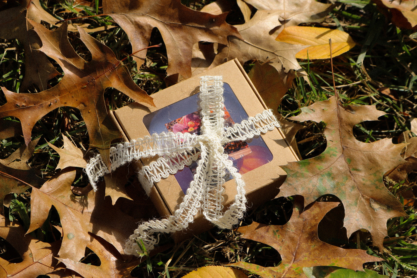 Fall Discovery Box