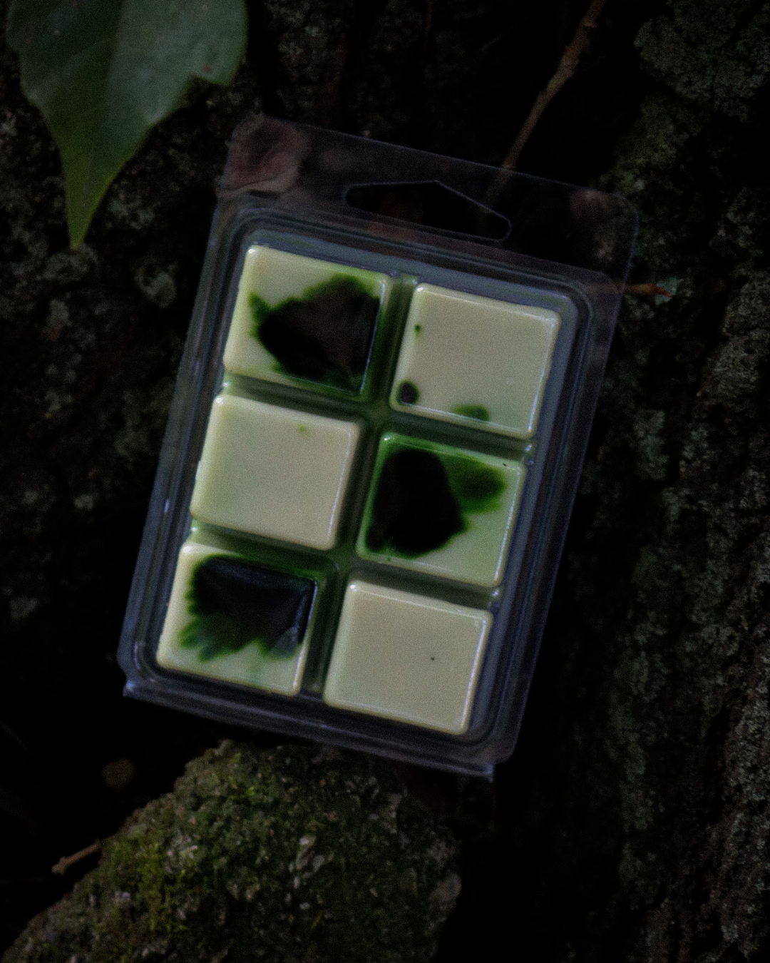 Taken By The Fae wax melt