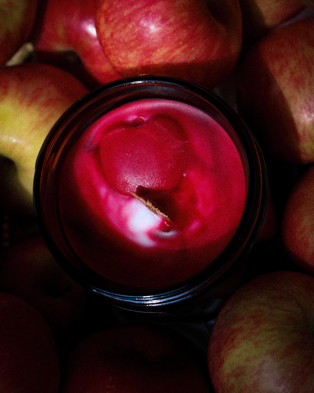 Adam & Steve's Orchard 16oz candle