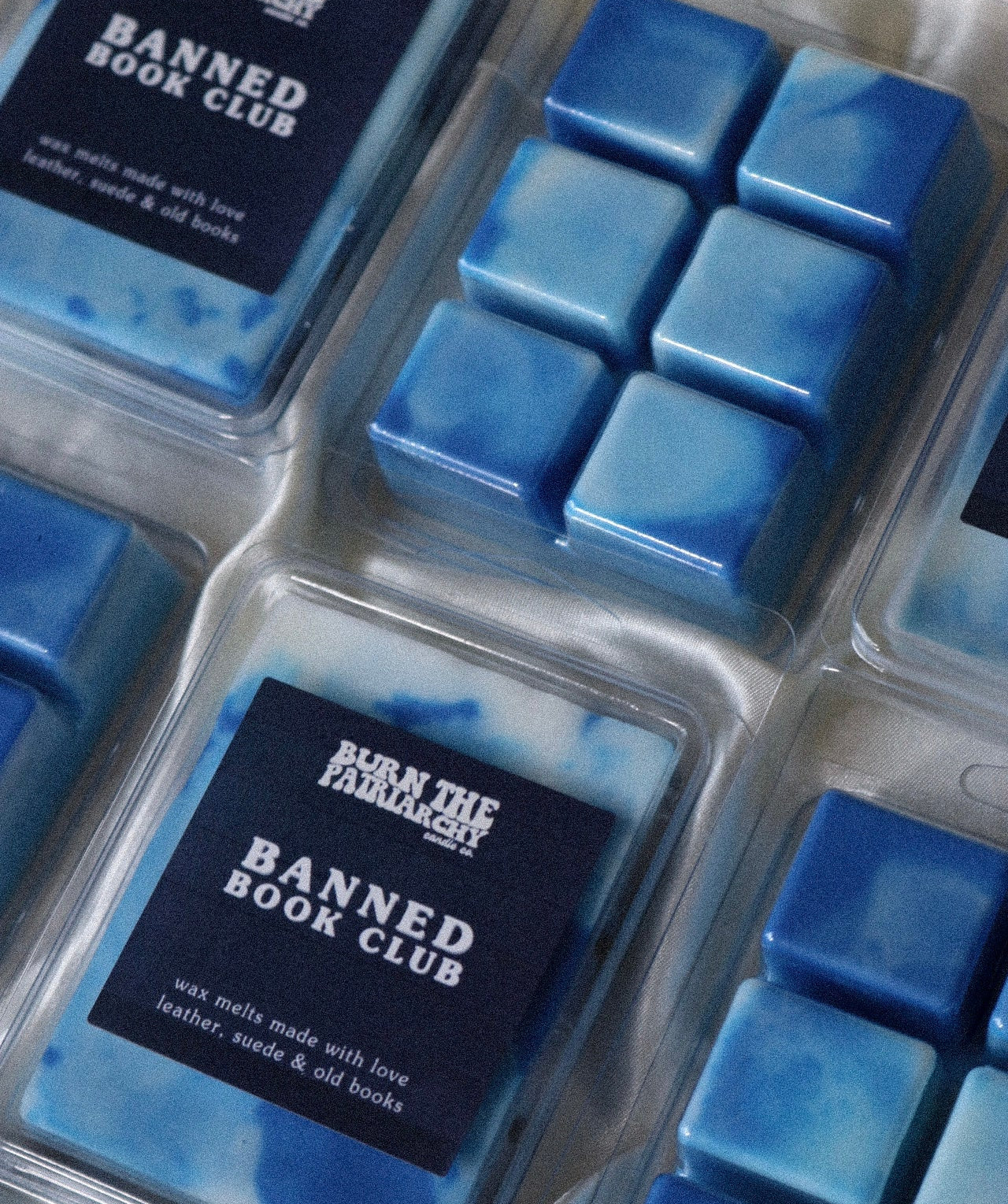Banned Book Club Wax Melt