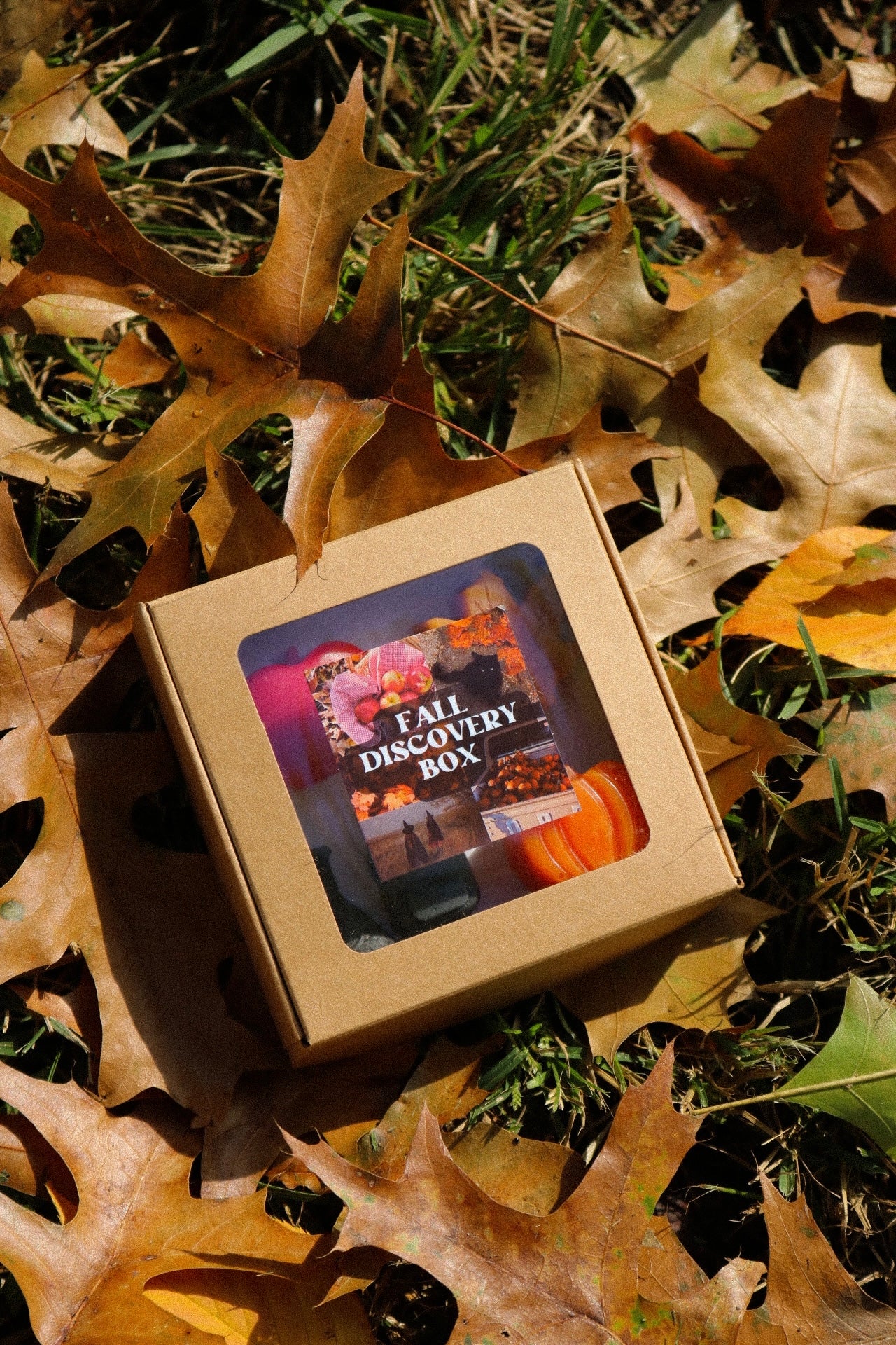 Fall Discovery Box
