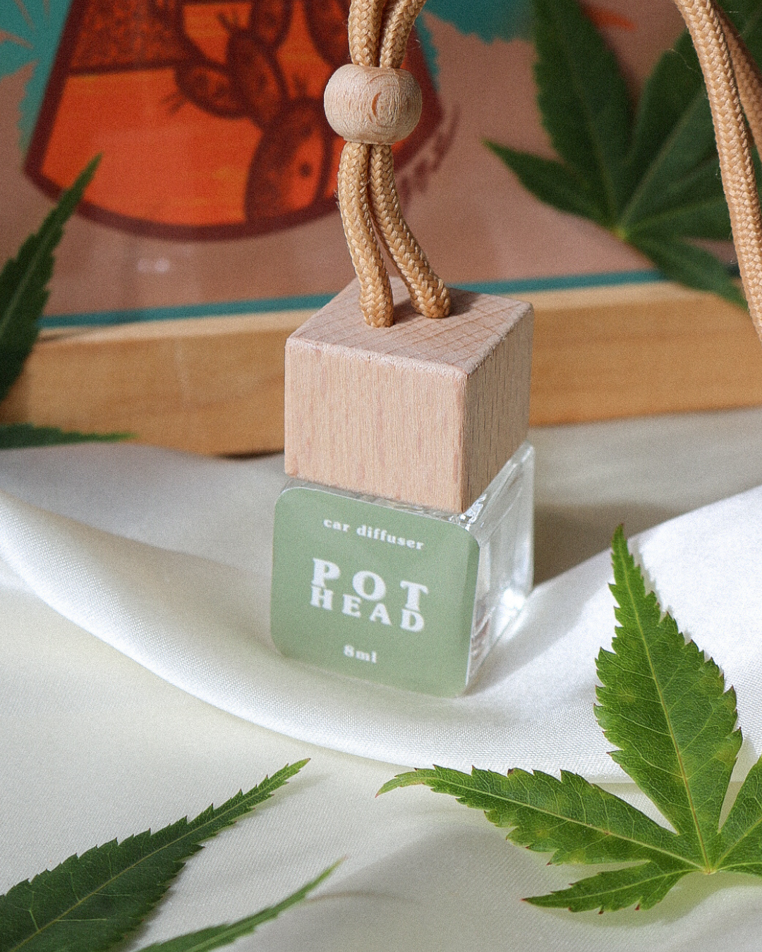 Pot Head Car Diffuser