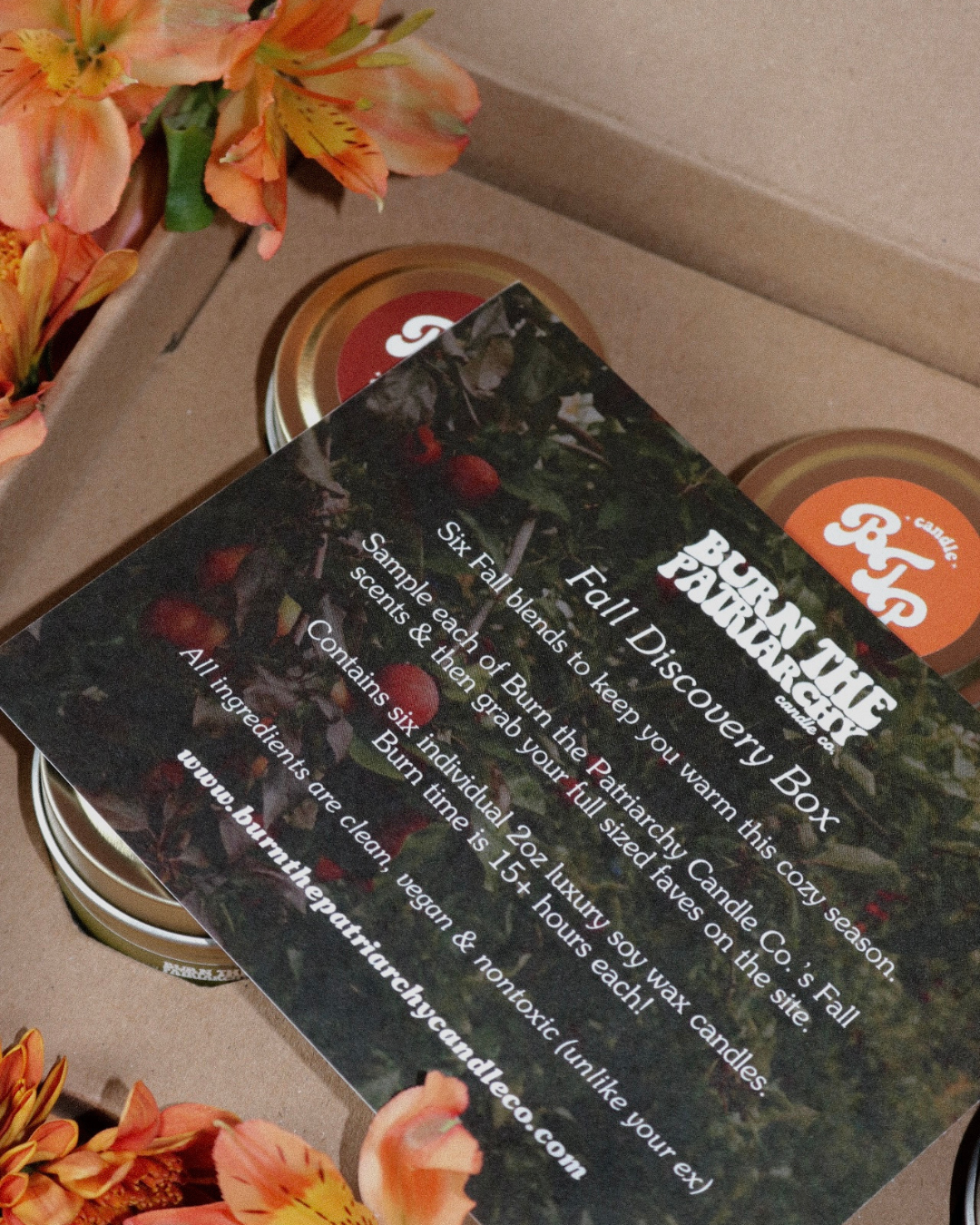 BTP's Fall Discovery Box