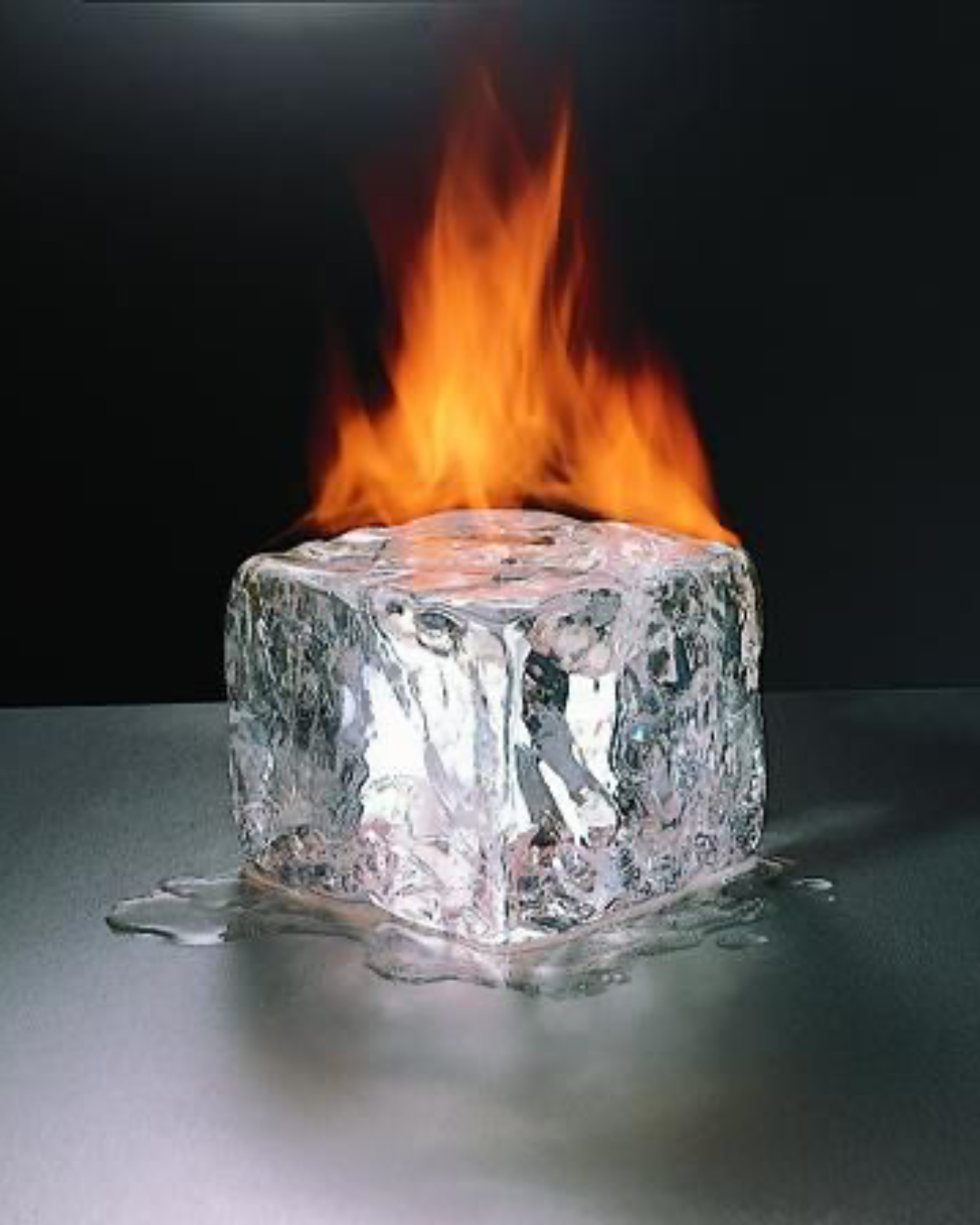 Abolish ICE Eau De Parfum