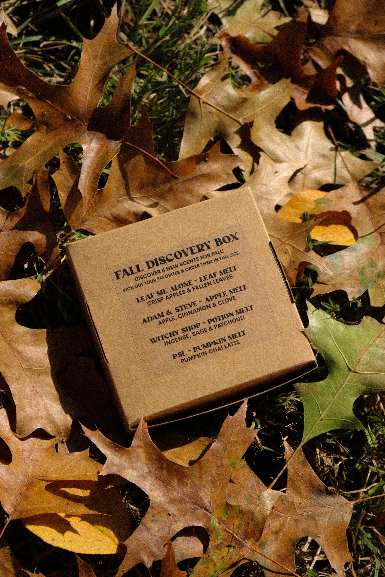 Fall Discovery Box