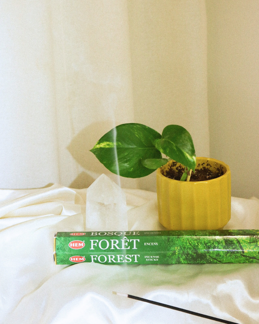 Forest Incense