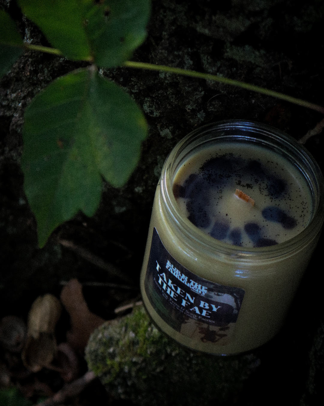 Taken By The Fae 8oz candle