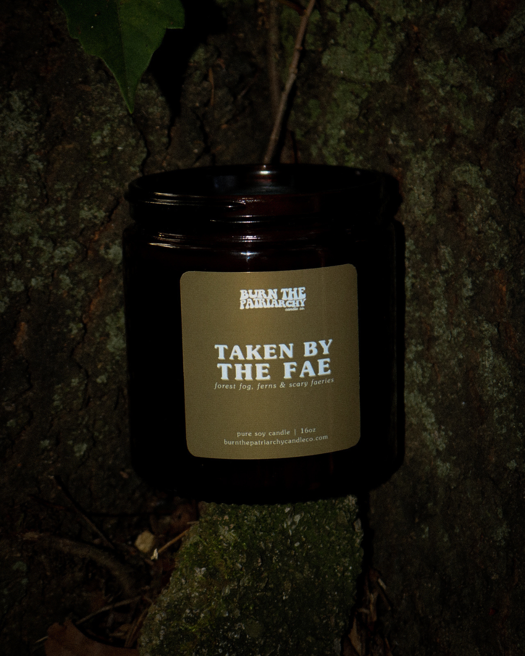Taken By The Fae 16oz candle