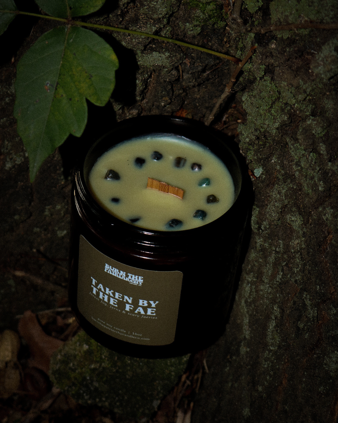 Taken By The Fae 16oz candle