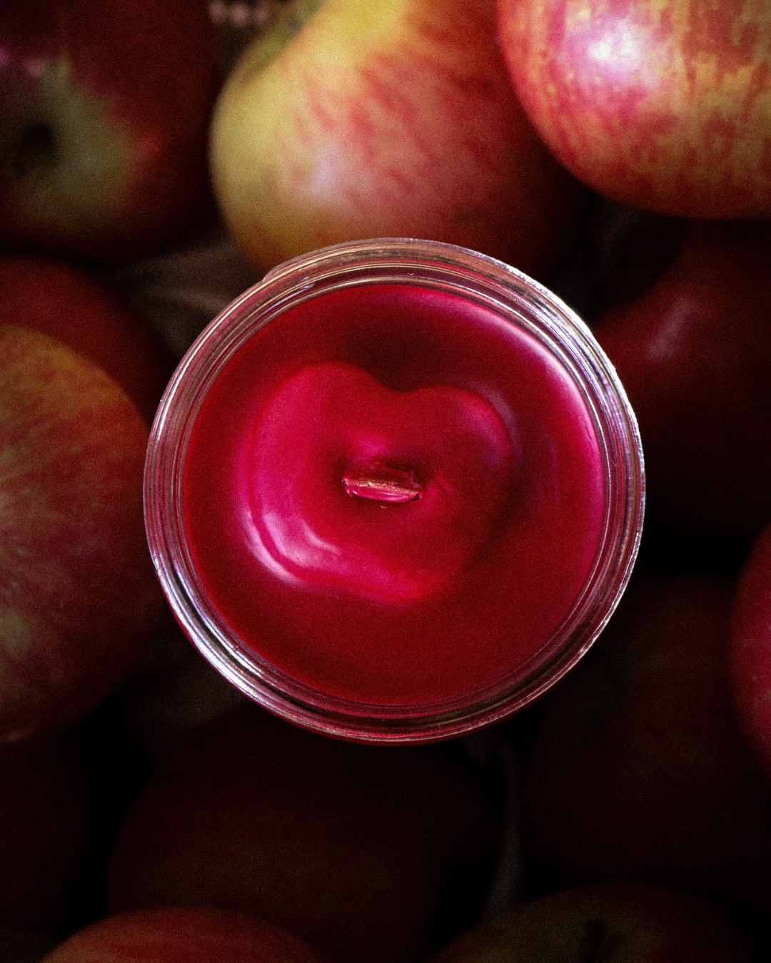 Adam & Steve's Orchard 8oz candle